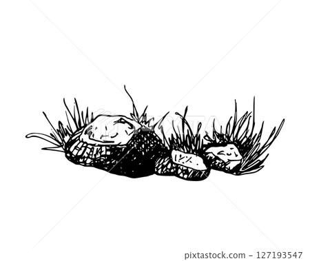 A natural cluster of rocks surrounded by tall, wild grass. Black and white outdoor scene. Graphic sketch in line art style. Hand drawn vector illustration isolated on white. For cards clip art label. A natural cluster of rocks surrounded by tall, wild grass. Black and white outdoor scene. Graphic sketch in line art style. Hand drawn vector illustration isolated on white. For cards clip art label. 127193547