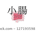 小腸 127193598