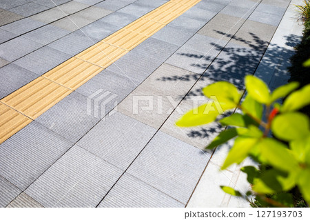 Sidewalk with tactile paving and roadside plants, blurred Sidewalk with tactile paving and roadside plants, blurred 127193703