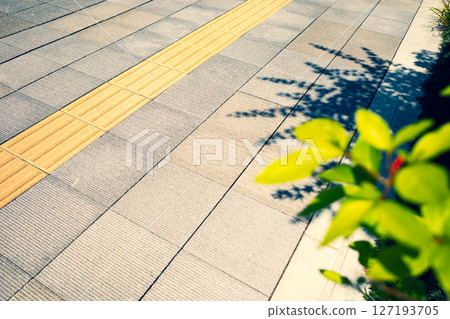 Sidewalk with tactile paving and roadside plants, blurred foreground, emphasis on warm and cool colors Sidewalk with tactile paving and roadside plants, blurred foreground, emphasis on warm and cool colors 127193705