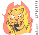 A cat operating a smartphone with great force 127193773