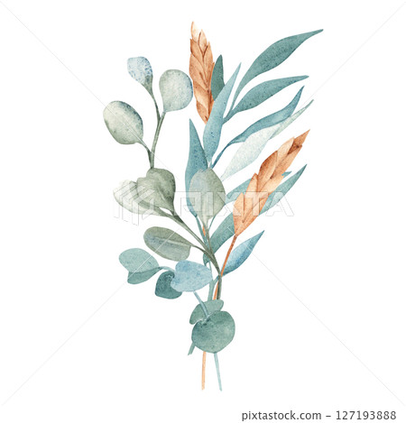 Watercolor Bouquet from Eucalyptus and Dry Spikelets of Wheat or Rye. Hand drawn floral composition isolated on a white background. For greeting birthday cards, wedding, save the date and baby shower 127193888