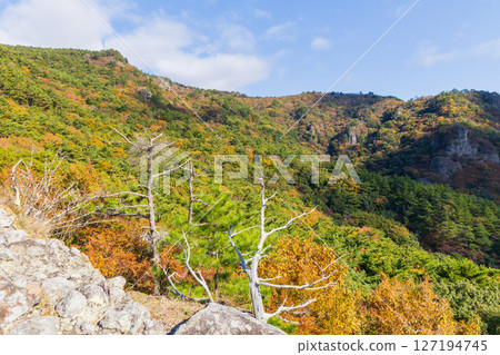 Autumn in Shodoshima: Autumn foliage in Kankakei Gorge, a view from the Ura Hakkei hiking trail Autumn in Shodoshima: Autumn foliage in Kankakei Gorge, a view from the Ura Hakkei hiking trail 127194745