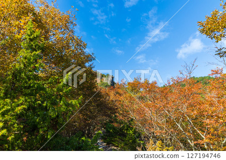 Autumn in Shodoshima - Autumn leaves in Kankakei Gorge - Eight Views of the Back (Shikaiwa) Autumn in Shodoshima - Autumn leaves in Kankakei Gorge - Eight Views of the Back (Shikaiwa) 127194746