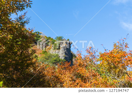 Autumn in Shodoshima - Autumn leaves in Kankakei Gorge - Eight Views of the Back (Shikaiwa) Autumn in Shodoshima - Autumn leaves in Kankakei Gorge - Eight Views of the Back (Shikaiwa) 127194747