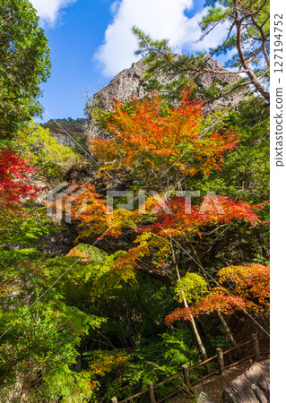 Autumn in Shodoshima - Autumn leaves in Kankakei - Eight Views of the Back (Sekimon) 127194752
