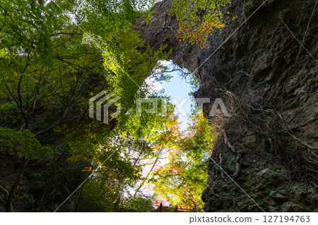 Autumn in Shodoshima - Autumn leaves in Kankakei - Eight Views of the Back (Sekimon) Autumn in Shodoshima - Autumn leaves in Kankakei - Eight Views of the Back (Sekimon) 127194763