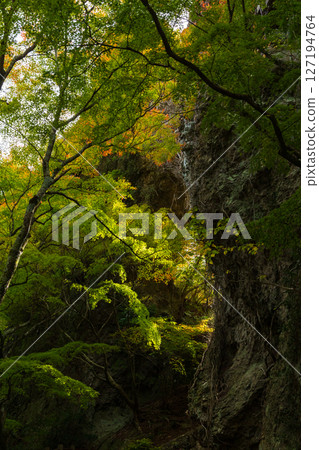Autumn in Shodoshima - Autumn leaves in Kankakei - Eight Views of the Back (Sekimon) Autumn in Shodoshima - Autumn leaves in Kankakei - Eight Views of the Back (Sekimon) 127194764