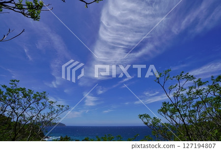 Genkai Sea in Spring Genkai Sea in Spring 127194807