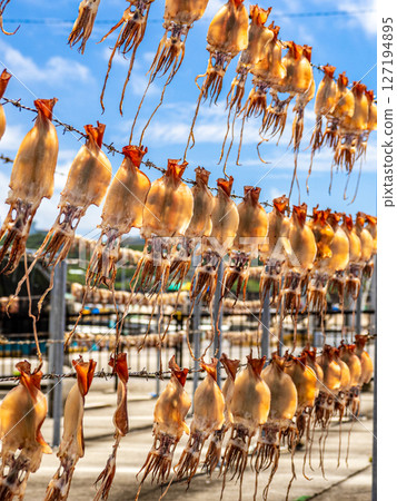 曬乾的翻車魚 曬乾的翻車魚 127194895