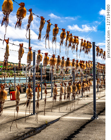 Sun dried sunfish Sun dried sunfish 127194900