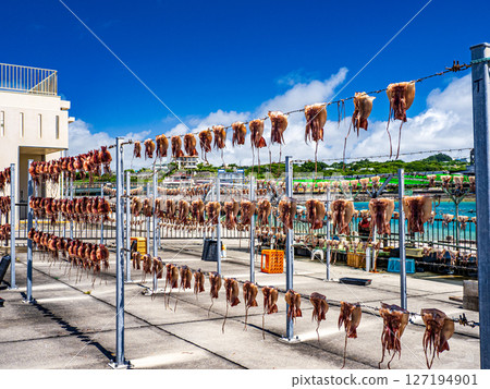 Sun dried sunfish Sun dried sunfish 127194901