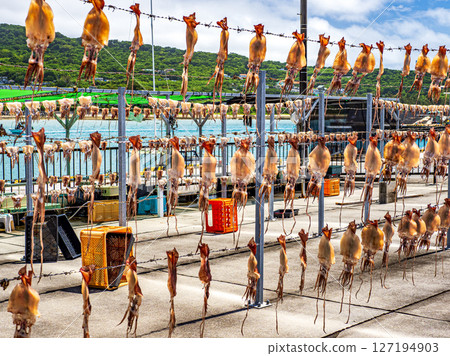 Sun dried sunfish 127194903