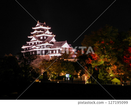 岡山城天守閣亮燈 127195099