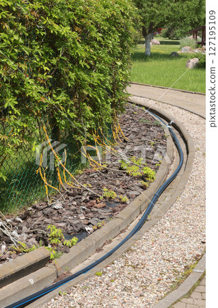 Wild grapes, hedges and watering systems in park in summer. Nature and devices in garden. Wild grapes, hedges and watering systems in park in summer. Nature and devices in garden. 127195109