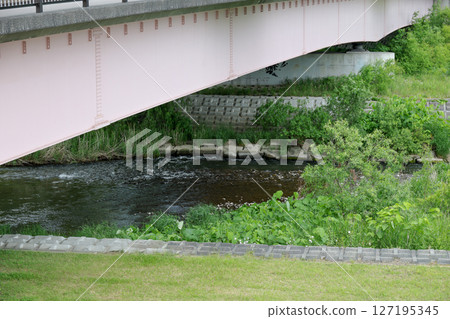 bridge, river, stream, riverbed, greenery, flow, clear stream, nature, water surface bridge, river, stream, riverbed, greenery, flow, clear stream, nature, water surface 127195345