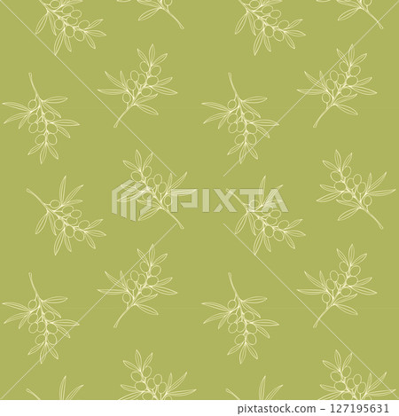 Olives branches light outline drawing. Pattern on pistachio background. Olives branches light outline drawing. Pattern on pistachio background. 127195631