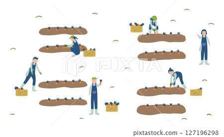 Carrot farmer illustration 127196298