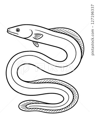Eel line drawing 127196337