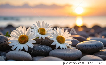Zen spa still life with white orchid, stones, and bamboo for balance and relaxation 127196378