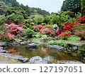 漫步於福岡熱門景點糸島杜鵑花園 127197051