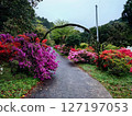 漫步於福岡熱門景點糸島杜鵑花園 127197053