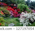 漫步於福岡熱門景點糸島杜鵑花園 127197054
