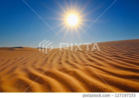 Radiance of the Desert Sun Illuminating Vast Golden Dunes at Midday. Generative AI 127197155