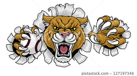 Cougar Panther Mountain Lion Puma Baseball Mascot 127197348