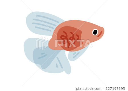 Cartoon Fancy Goldfish Illustration Cartoon Fancy Goldfish Illustration 127197695