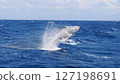 Humpback whale bleach 127198691