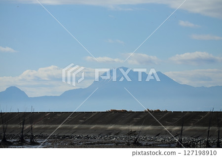 Arao City Port Wild Birds, 127198910