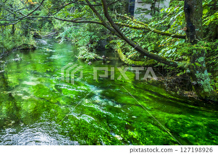 The Shimizu River that flows through Kamikochi: a beautiful, highly transparent river [Matsumoto City, Nagano Prefecture] 127198926