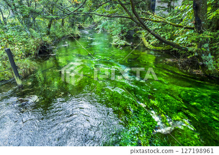 Scenery of the Shimizu River flowing through Kamikochi [Matsumoto City, Nagano Prefecture] 127198961