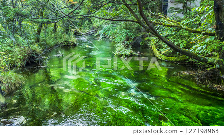流經上高地的清水川風景[長野縣松本市] 127198963