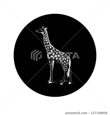 Giraffe silhouette editable vector illustration 127199606