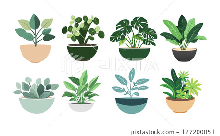 Cute Potted Plants: 8 Adorable Illustrations Cute Potted Plants: 8 Adorable Illustrations 127200051