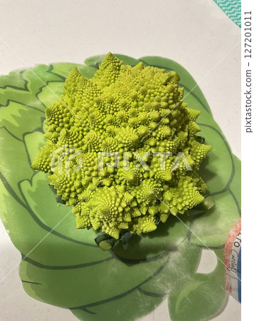 Hokkaido Romanesco [Main body] 127201011
