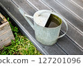 Decorative vintage metal watering can in the garden 127201096