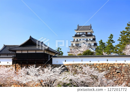 [Hiroshima Prefecture] Fukuyama Castle in spring with cherry blossoms (after reconstruction) Fukuyama Castle Cherry Blossom Festival 127201772