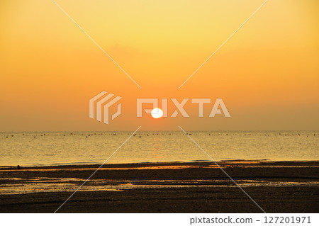 Autumn dawn view of the Ariake Sea from Takeshima Beach in Shimabara City Autumn dawn view of the Ariake Sea from Takeshima Beach in Shimabara City 127201971
