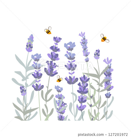 Lavender flowers and honey bees isolated composition. Hand drawn vector illustration 127201972