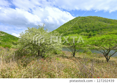 赤城山和角萬淵 [群馬縣] 127202439