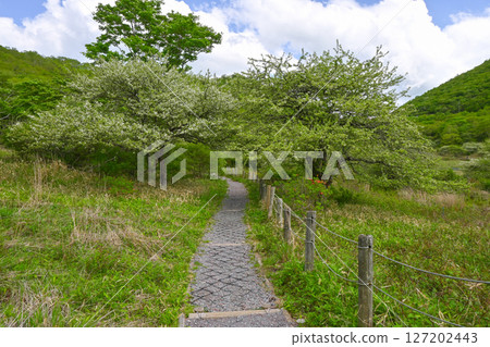 赤城山和角萬淵 [群馬縣] 127202443