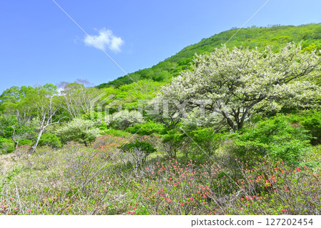 Mount Akagi and Kakumanbuchi [Gunma Prefecture] 127202454