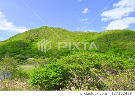 赤城山和角萬淵 [群馬縣] 127202458