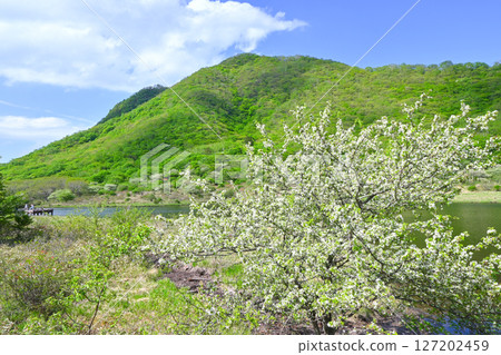 赤城山和角萬淵 [群馬縣] 127202459