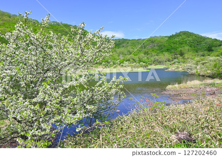 赤城山和角萬淵 [群馬縣] 127202460
