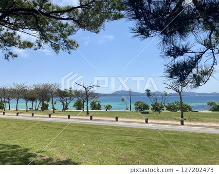 Spectacular scenery of Okinawa's beautiful ocean and blue sky | Tropical nature photos perfect for travel, sightseeing and resorts 127202473