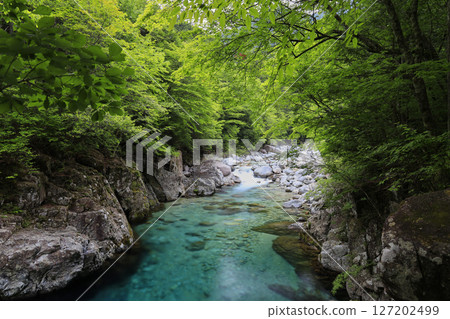 Fresh greenery and emerald green pools 127202499